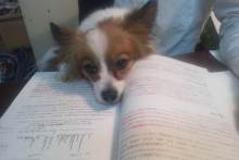 Pualani Lehua Hula studio