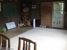 Pualani Lehua Hula studio