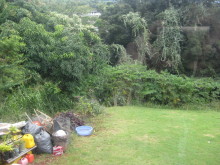 Pualani Lehua Hula studio