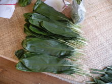 Pualani Lehua Hula studio