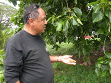 Pualani Lehua Hula studio