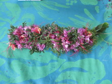 Pualani Lehua Hula studio