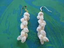 Pualani Lehua Hula studio