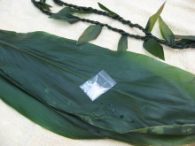 Pualani Lehua Hula studio