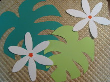 Pualani Lehua Hula studio