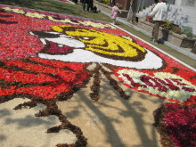 Pualani Lehua Hula studio