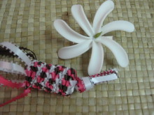 Pualani Lehua Hula studio