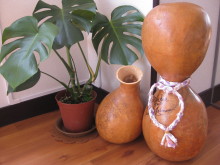 Pualani Lehua Hula studio