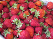 Pualani Lehua Hula studio