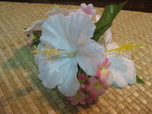 Pualani Lehua Hula studio