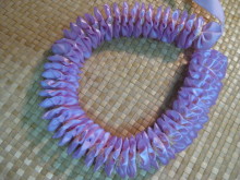 Pualani Lehua Hula studio