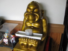 Pualani Lehua Hula studio