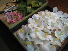 Pualani Lehua Hula studio