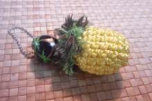 Pualani Lehua Hula studio