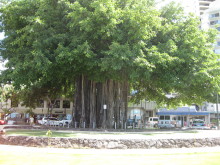 Pualani Lehua Hula studio