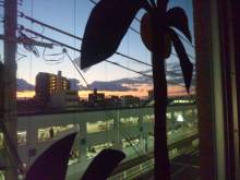 Pualani Lehua Hula studio