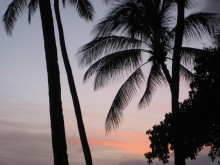 Pualani Lehua Hula studio