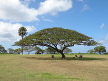 Pualani Lehua Hula studio