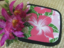 Pualani Lehua Hula studio